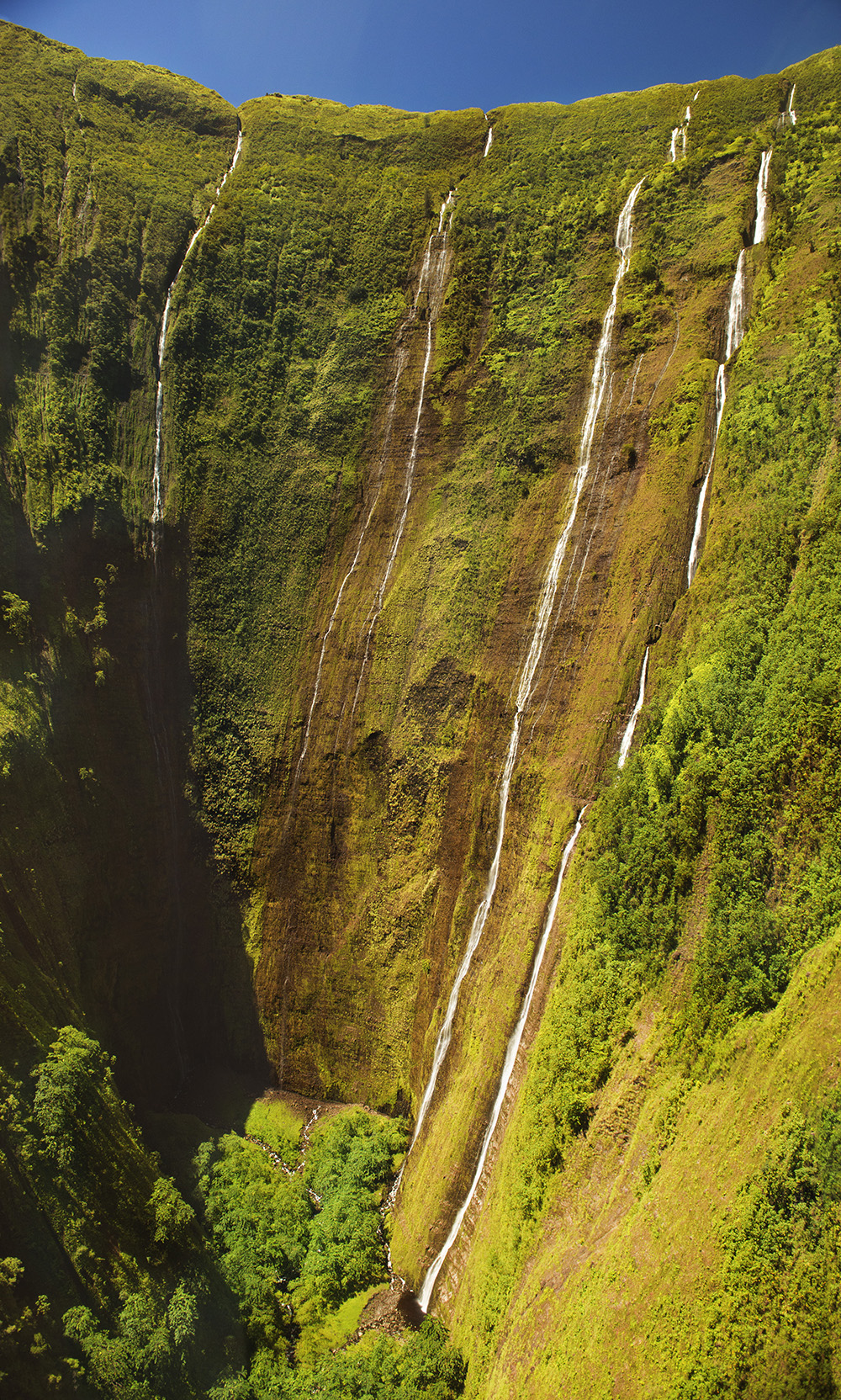 #waterfall, #hawaii, #bluehawaiian, #photomerge, #nature, #rainyside, #wetside, #nikonD800
