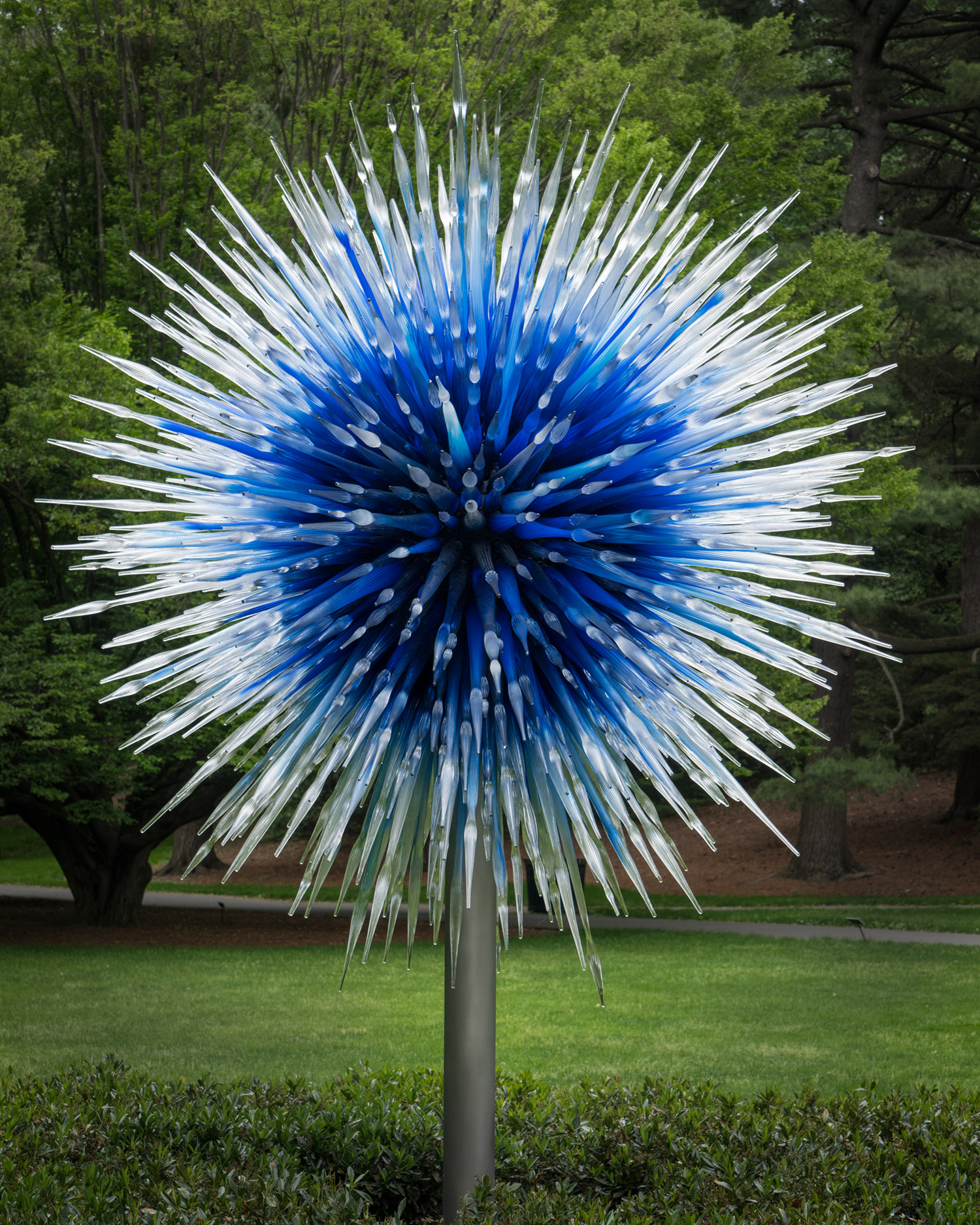 #chihuly, #NYBG, #newyork, #botanical, #glass, #art, #sculpture, #nature, #blue
